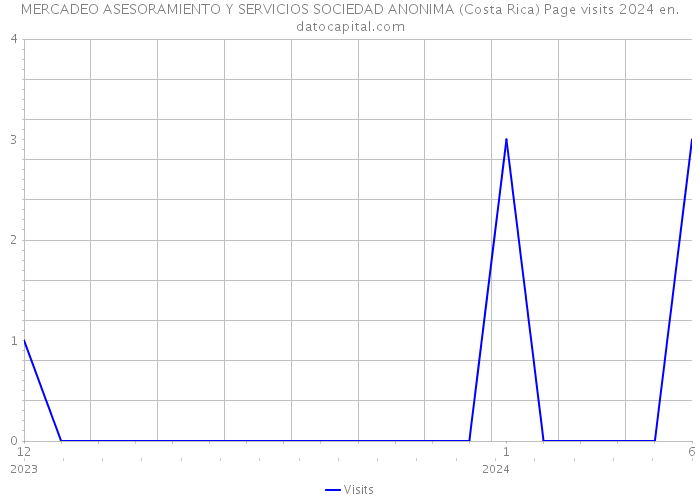 MERCADEO ASESORAMIENTO Y SERVICIOS SOCIEDAD ANONIMA (Costa Rica) Page visits 2024 