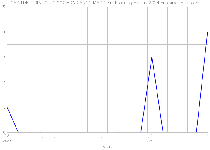 CAZU DEL TRIANGULO SOCIEDAD ANONIMA (Costa Rica) Page visits 2024 