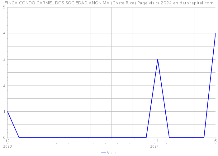 FINCA CONDO CARMEL DOS SOCIEDAD ANONIMA (Costa Rica) Page visits 2024 