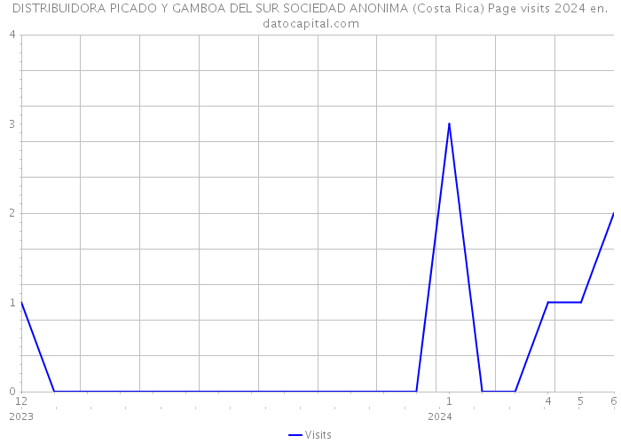 DISTRIBUIDORA PICADO Y GAMBOA DEL SUR SOCIEDAD ANONIMA (Costa Rica) Page visits 2024 