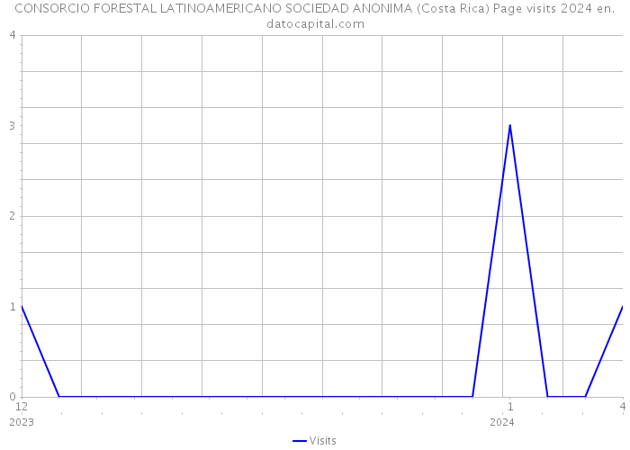 CONSORCIO FORESTAL LATINOAMERICANO SOCIEDAD ANONIMA (Costa Rica) Page visits 2024 