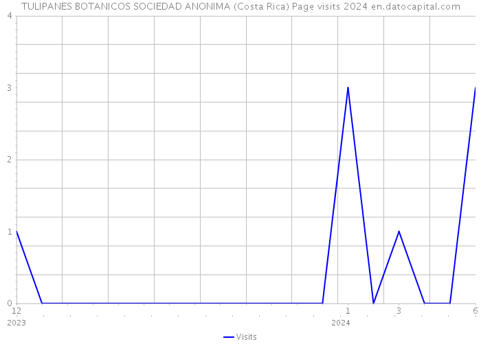 TULIPANES BOTANICOS SOCIEDAD ANONIMA (Costa Rica) Page visits 2024 