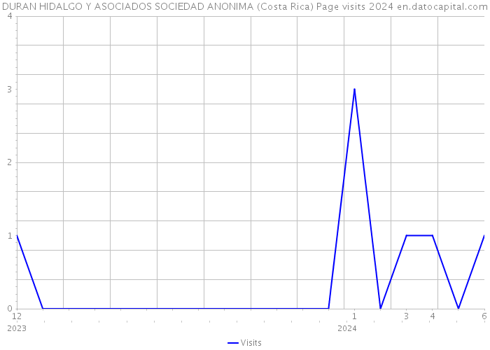 DURAN HIDALGO Y ASOCIADOS SOCIEDAD ANONIMA (Costa Rica) Page visits 2024 