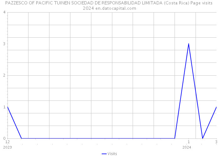 PAZZESCO OF PACIFIC TUINEN SOCIEDAD DE RESPONSABILIDAD LIMITADA (Costa Rica) Page visits 2024 