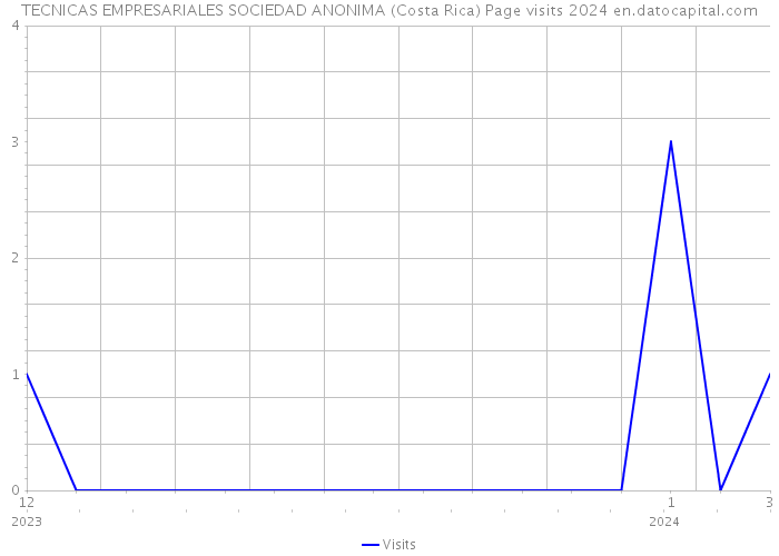 TECNICAS EMPRESARIALES SOCIEDAD ANONIMA (Costa Rica) Page visits 2024 
