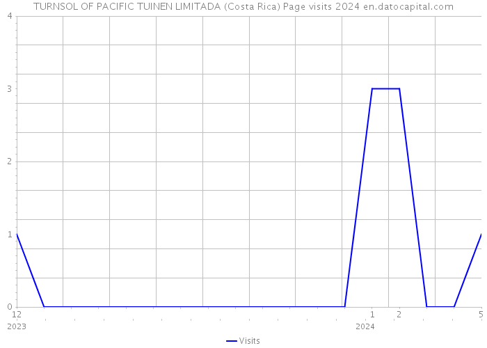 TURNSOL OF PACIFIC TUINEN LIMITADA (Costa Rica) Page visits 2024 