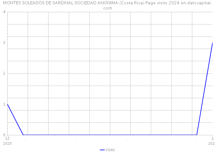 MONTES SOLEADOS DE SARDINAL SOCIEDAD ANONIMA (Costa Rica) Page visits 2024 