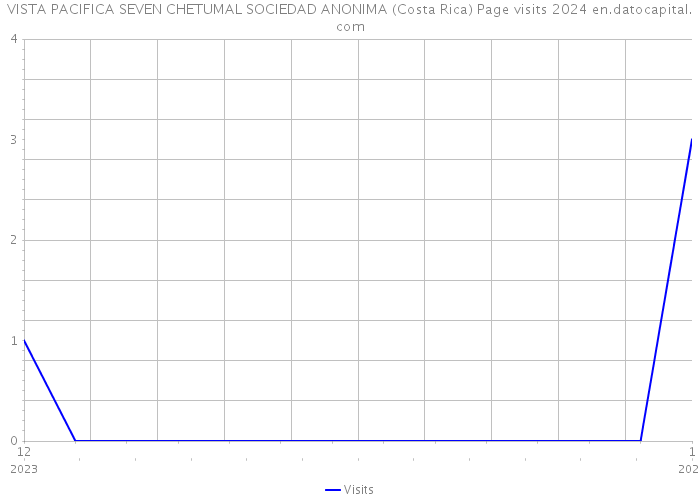 VISTA PACIFICA SEVEN CHETUMAL SOCIEDAD ANONIMA (Costa Rica) Page visits 2024 