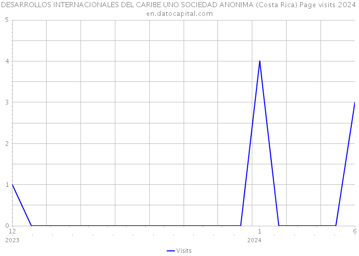 DESARROLLOS INTERNACIONALES DEL CARIBE UNO SOCIEDAD ANONIMA (Costa Rica) Page visits 2024 