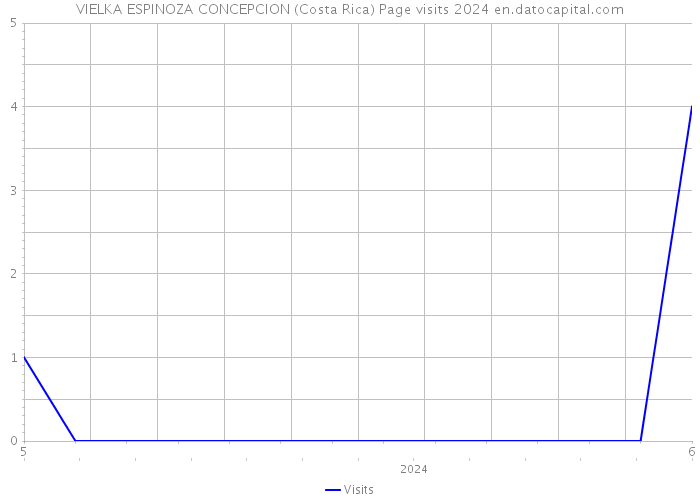 VIELKA ESPINOZA CONCEPCION (Costa Rica) Page visits 2024 
