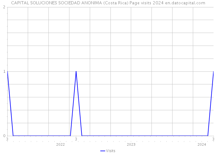 CAPITAL SOLUCIONES SOCIEDAD ANONIMA (Costa Rica) Page visits 2024 