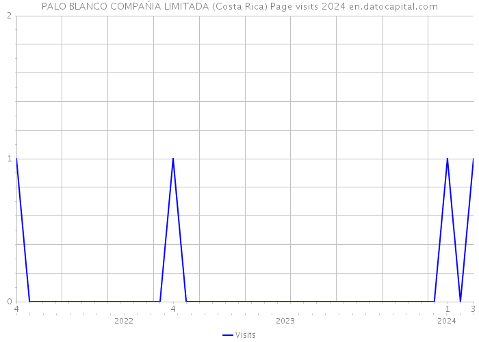 PALO BLANCO COMPAŃIA LIMITADA (Costa Rica) Page visits 2024 