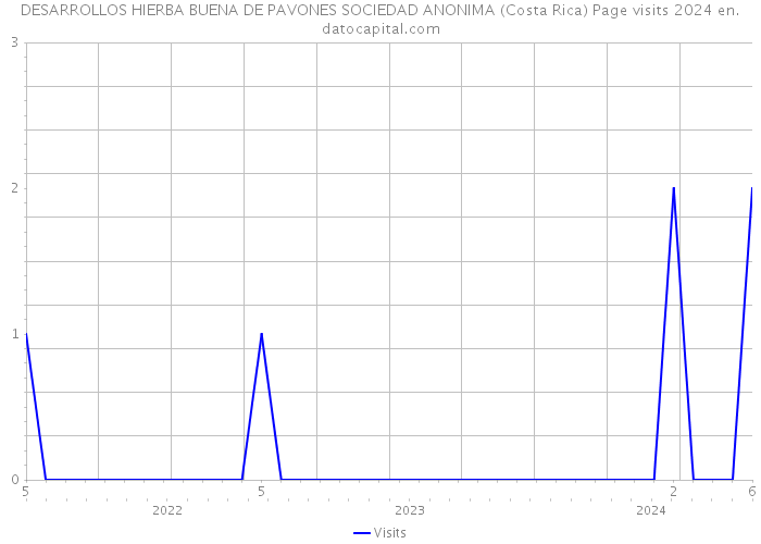 DESARROLLOS HIERBA BUENA DE PAVONES SOCIEDAD ANONIMA (Costa Rica) Page visits 2024 
