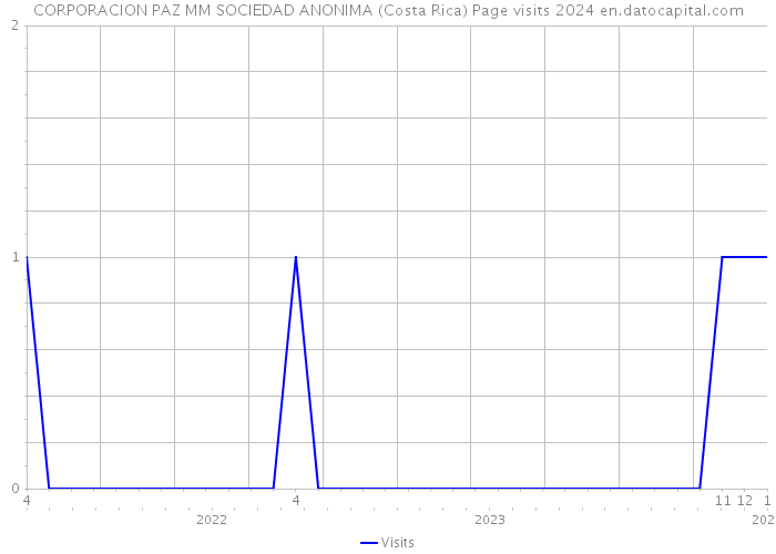 CORPORACION PAZ MM SOCIEDAD ANONIMA (Costa Rica) Page visits 2024 