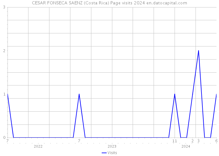 CESAR FONSECA SAENZ (Costa Rica) Page visits 2024 