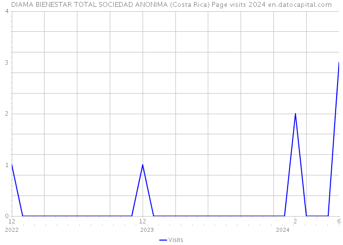 DIAMA BIENESTAR TOTAL SOCIEDAD ANONIMA (Costa Rica) Page visits 2024 