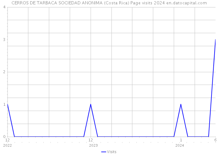 CERROS DE TARBACA SOCIEDAD ANONIMA (Costa Rica) Page visits 2024 