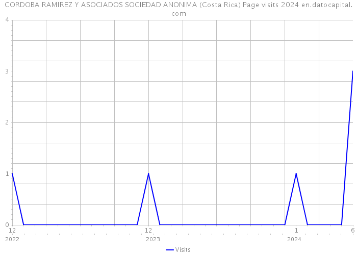 CORDOBA RAMIREZ Y ASOCIADOS SOCIEDAD ANONIMA (Costa Rica) Page visits 2024 