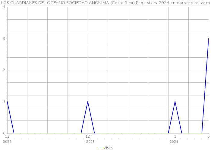 LOS GUARDIANES DEL OCEANO SOCIEDAD ANONIMA (Costa Rica) Page visits 2024 