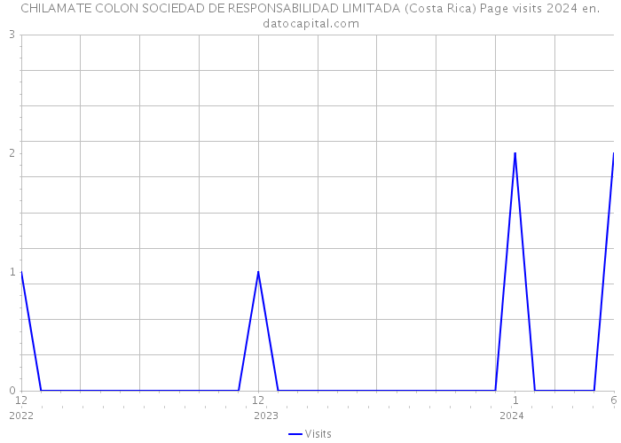 CHILAMATE COLON SOCIEDAD DE RESPONSABILIDAD LIMITADA (Costa Rica) Page visits 2024 