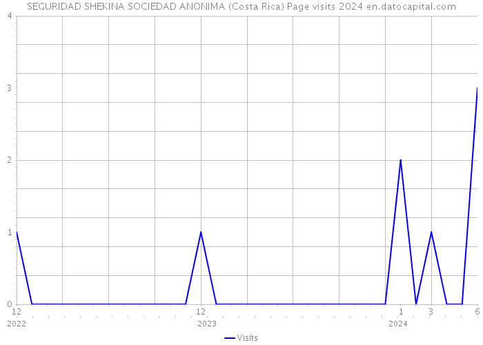 SEGURIDAD SHEKINA SOCIEDAD ANONIMA (Costa Rica) Page visits 2024 