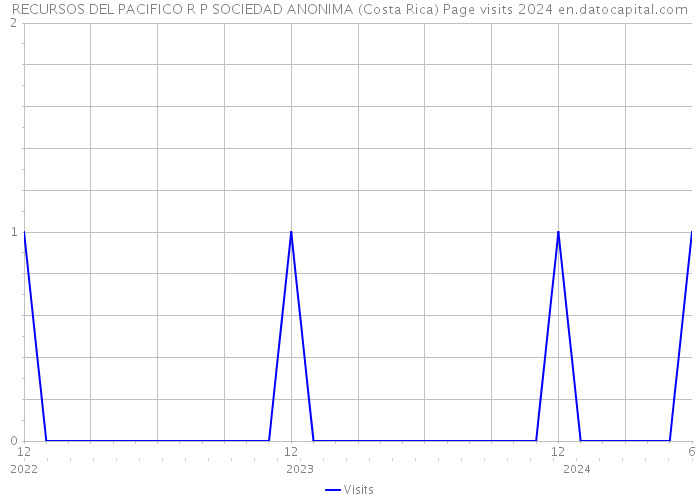 RECURSOS DEL PACIFICO R P SOCIEDAD ANONIMA (Costa Rica) Page visits 2024 