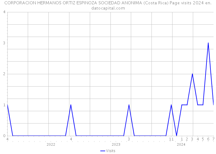 CORPORACION HERMANOS ORTIZ ESPINOZA SOCIEDAD ANONIMA (Costa Rica) Page visits 2024 