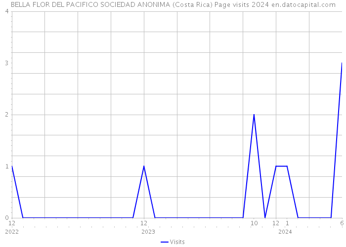 BELLA FLOR DEL PACIFICO SOCIEDAD ANONIMA (Costa Rica) Page visits 2024 