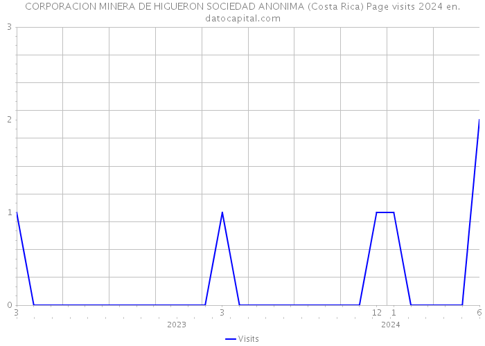 CORPORACION MINERA DE HIGUERON SOCIEDAD ANONIMA (Costa Rica) Page visits 2024 