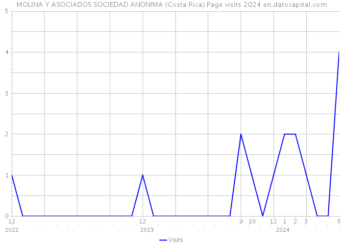 MOLINA Y ASOCIADOS SOCIEDAD ANONIMA (Costa Rica) Page visits 2024 