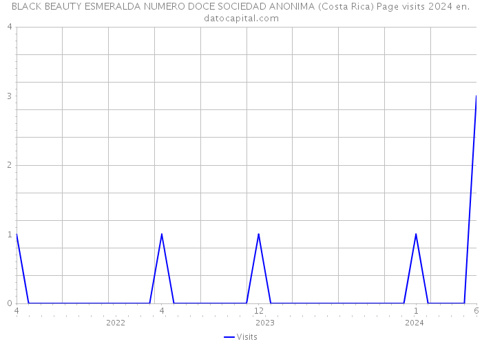 BLACK BEAUTY ESMERALDA NUMERO DOCE SOCIEDAD ANONIMA (Costa Rica) Page visits 2024 