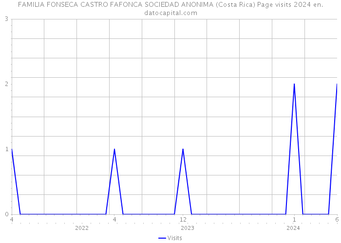 FAMILIA FONSECA CASTRO FAFONCA SOCIEDAD ANONIMA (Costa Rica) Page visits 2024 