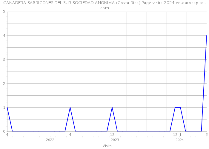 GANADERA BARRIGONES DEL SUR SOCIEDAD ANONIMA (Costa Rica) Page visits 2024 