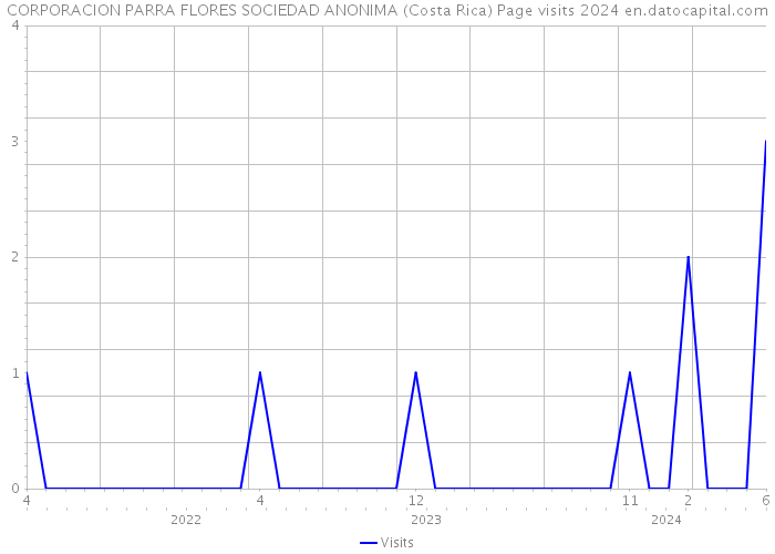 CORPORACION PARRA FLORES SOCIEDAD ANONIMA (Costa Rica) Page visits 2024 