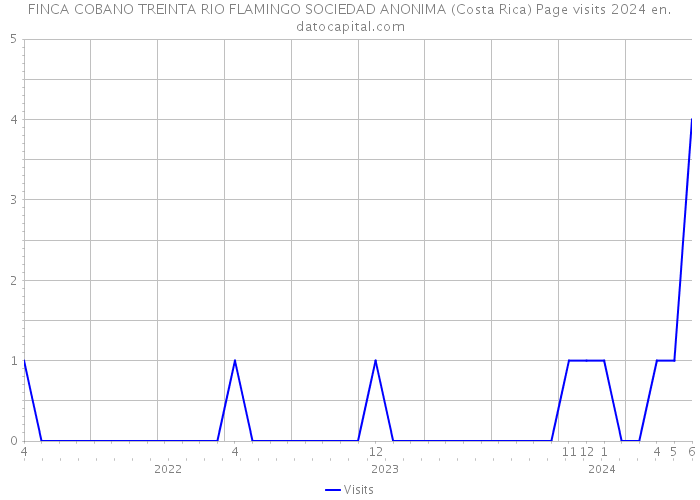 FINCA COBANO TREINTA RIO FLAMINGO SOCIEDAD ANONIMA (Costa Rica) Page visits 2024 