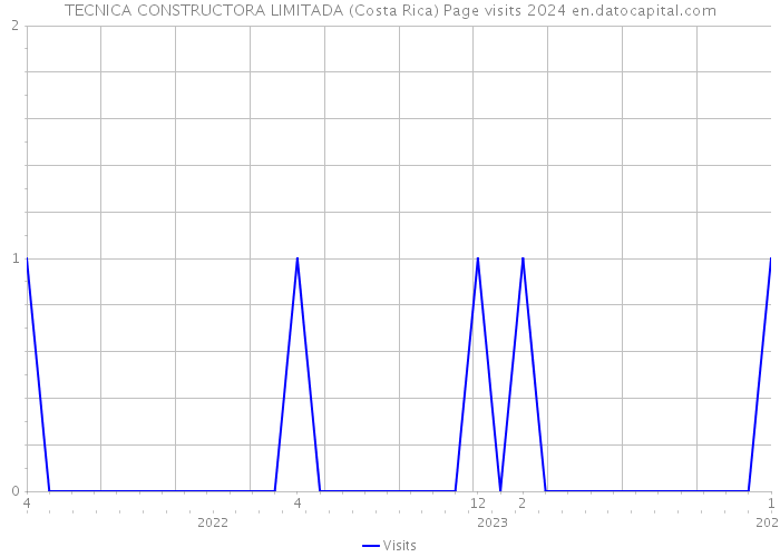 TECNICA CONSTRUCTORA LIMITADA (Costa Rica) Page visits 2024 