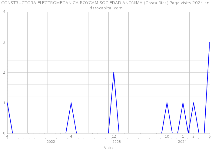 CONSTRUCTORA ELECTROMECANICA ROYGAM SOCIEDAD ANONIMA (Costa Rica) Page visits 2024 