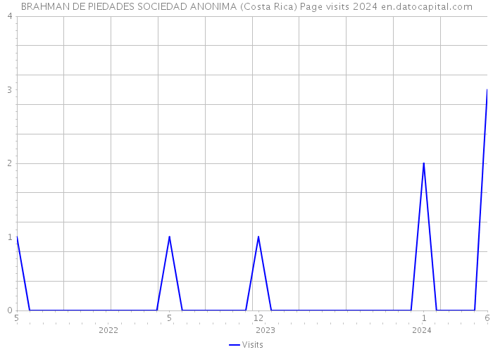 BRAHMAN DE PIEDADES SOCIEDAD ANONIMA (Costa Rica) Page visits 2024 