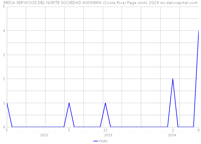 MEGA SERVICIOS DEL NORTE SOCIEDAD ANONIMA (Costa Rica) Page visits 2024 