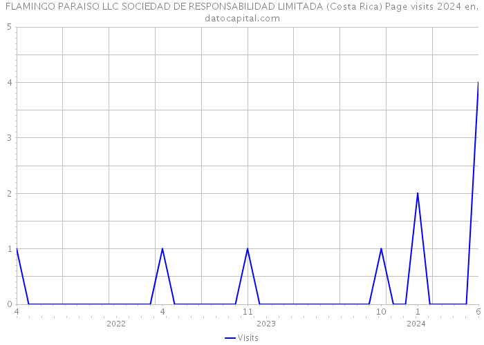 FLAMINGO PARAISO LLC SOCIEDAD DE RESPONSABILIDAD LIMITADA (Costa Rica) Page visits 2024 
