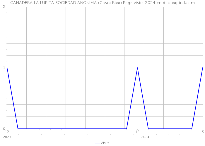 GANADERA LA LUPITA SOCIEDAD ANONIMA (Costa Rica) Page visits 2024 