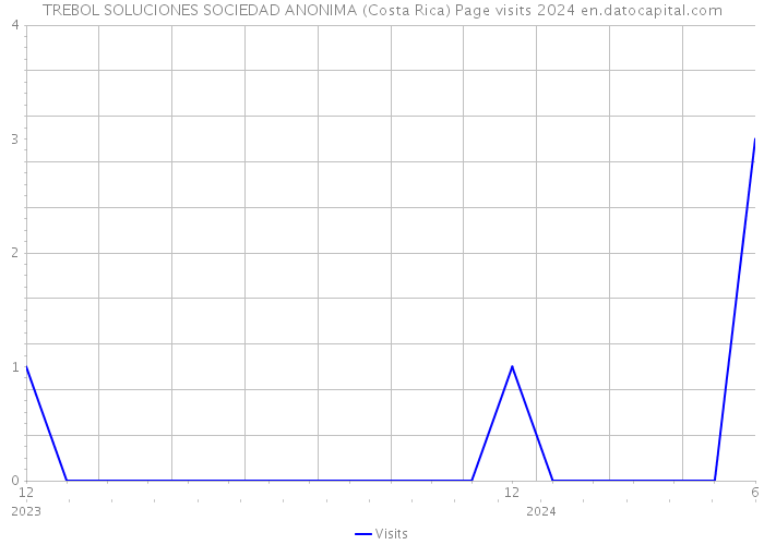 TREBOL SOLUCIONES SOCIEDAD ANONIMA (Costa Rica) Page visits 2024 