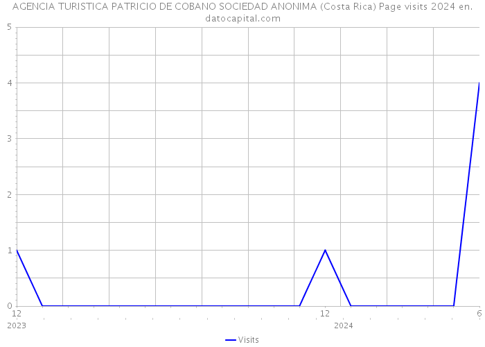 AGENCIA TURISTICA PATRICIO DE COBANO SOCIEDAD ANONIMA (Costa Rica) Page visits 2024 