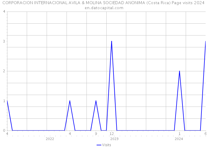 CORPORACION INTERNACIONAL AVILA & MOLINA SOCIEDAD ANONIMA (Costa Rica) Page visits 2024 