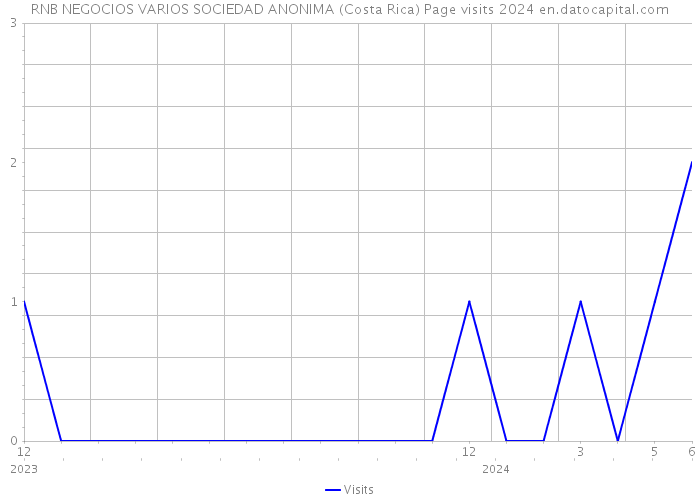 RNB NEGOCIOS VARIOS SOCIEDAD ANONIMA (Costa Rica) Page visits 2024 