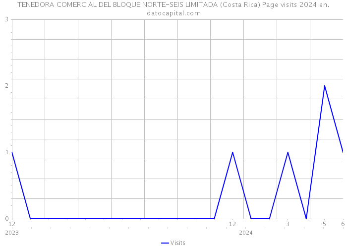 TENEDORA COMERCIAL DEL BLOQUE NORTE-SEIS LIMITADA (Costa Rica) Page visits 2024 