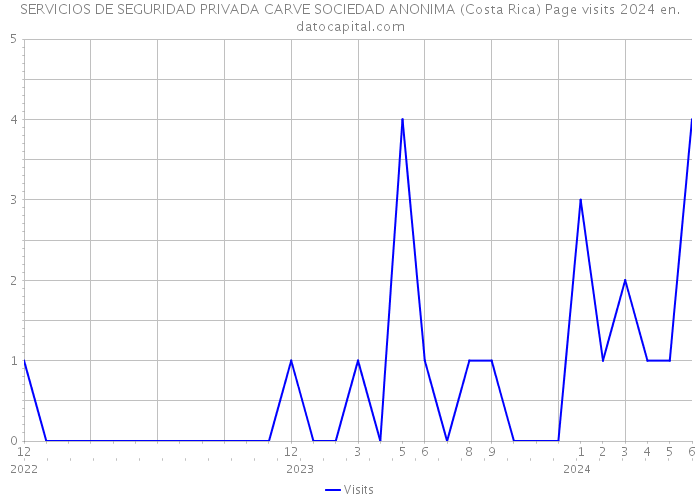 SERVICIOS DE SEGURIDAD PRIVADA CARVE SOCIEDAD ANONIMA (Costa Rica) Page visits 2024 