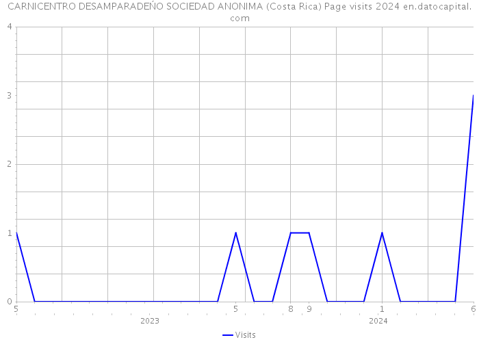 CARNICENTRO DESAMPARADEŃO SOCIEDAD ANONIMA (Costa Rica) Page visits 2024 