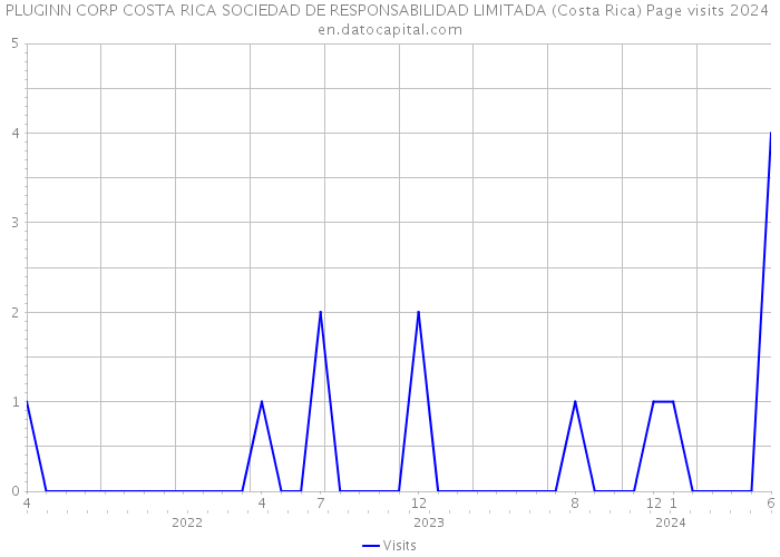 PLUGINN CORP COSTA RICA SOCIEDAD DE RESPONSABILIDAD LIMITADA (Costa Rica) Page visits 2024 