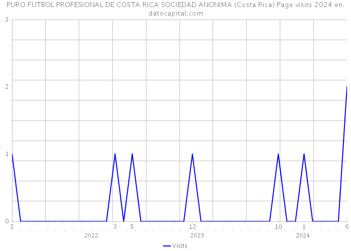 PURO FUTBOL PROFESIONAL DE COSTA RICA SOCIEDAD ANONIMA (Costa Rica) Page visits 2024 